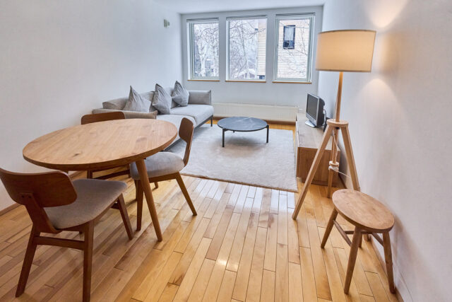 20240124 Niseko Central J House B Living Room Winter DSC6434 Lores 1