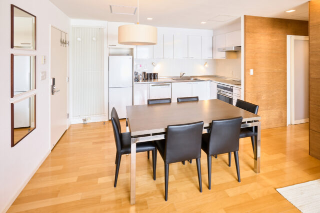 20240325 Niseko Central Youtei Tracks YT102 Generic Kitchen DSC9496 Lores 1