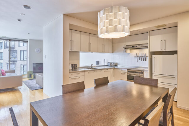 20240416 Niseko Central Yama Shizen East YE204 Generic Kitchen DSC6025 Lores 1 1