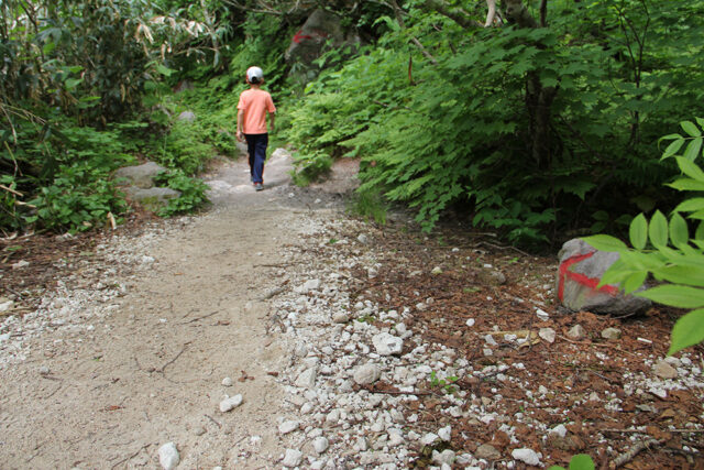 Iwaonupuri Hike July 9 2017 24