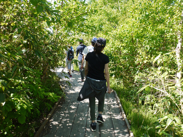 Shinsen Numa Trecking