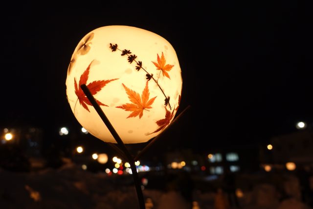 Otaru Snow Light Path 20171