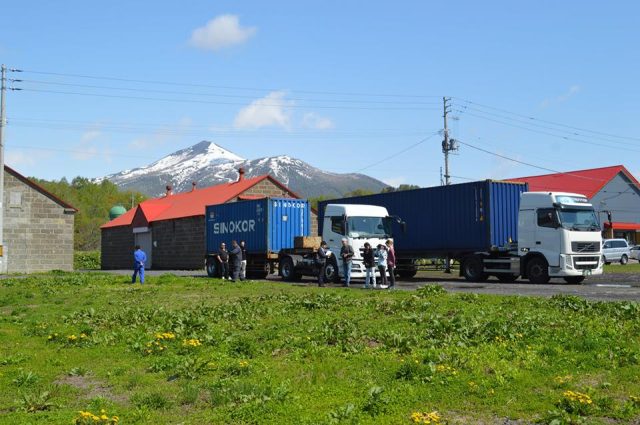 Cows arrive in Niseko for Cow Parade Niseko