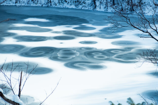Hangetsu Pond Circles Lr 5567