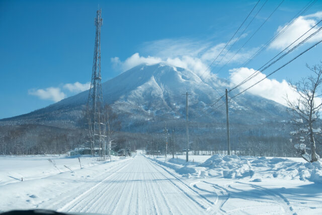 Winter Shots Lr 433