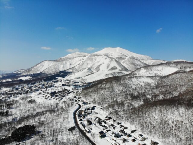 DJI 0336
