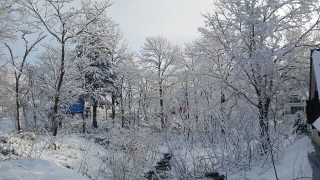 2015-12-17-december-snow-creek-winter-wonderland