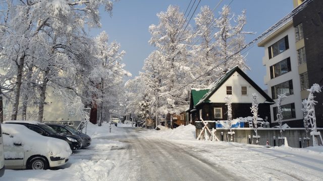 2015-12-17-december-snow-in-trees