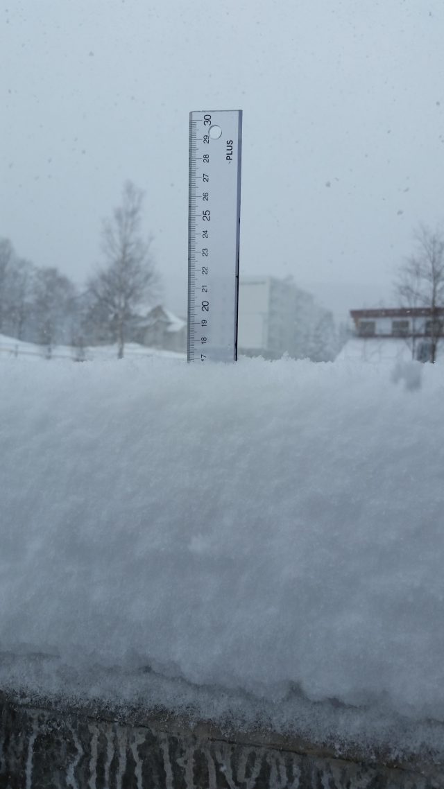 2015.11.29-snowfall-yamashizen-november