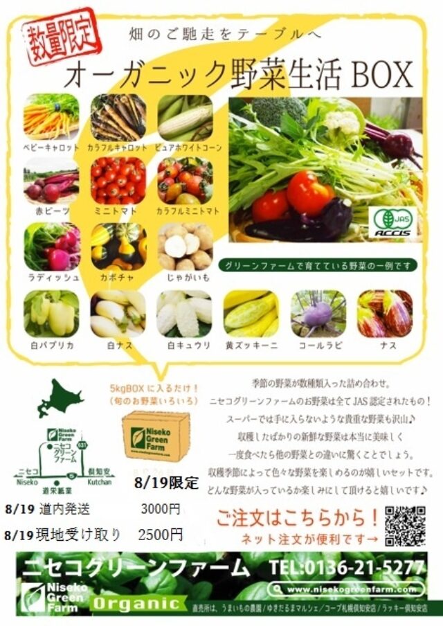 2016野菜 Boxチラシ ８１９比羅夫