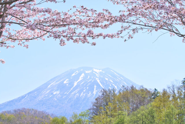 写真：2024年5月2日