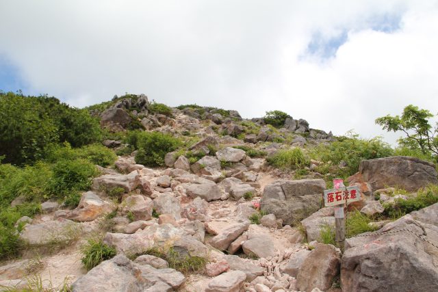 Iwaonupuri