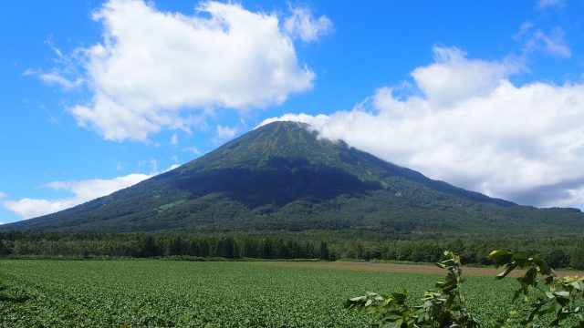 Mount Yotei
