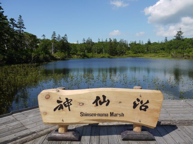 Shinsennuma