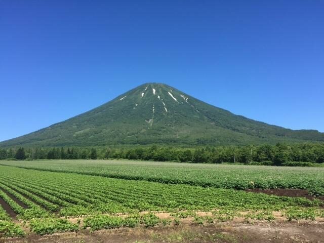 IMG 8096