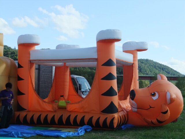 Hours of fun for the kids on the tiger bouncer,