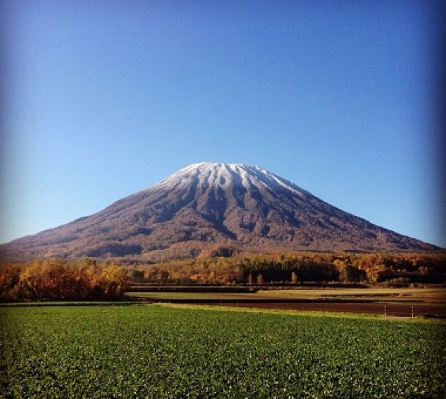 AutumnNiseko1crop