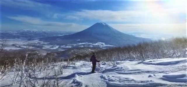 Bluebird Video