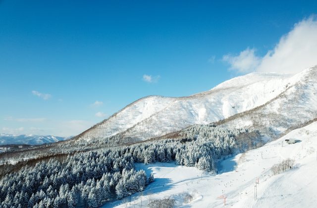Frosty trees and epic views at Grand Hirafu of Mt. Nisekoannupuri