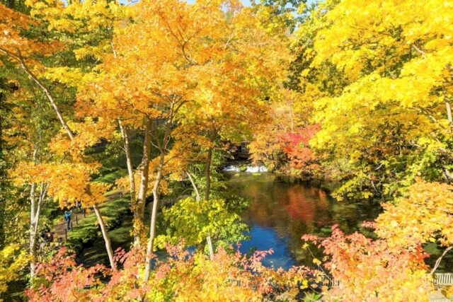 Fukidashi Park autumn leaves 171007 112250