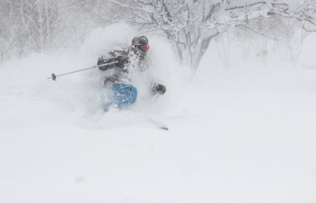 Gcp Stock Backcountry Powder Skiing
