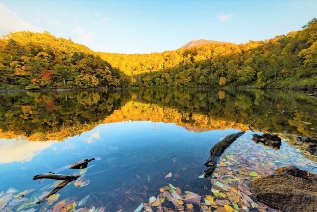 Lake Hangetsu reflections