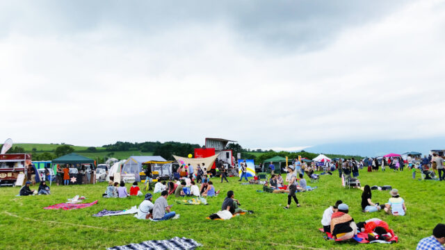 Love Toya 2016 Crowds02
