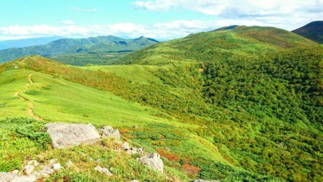 Mt Shirakaba Shakunage numa Hike Peak Path 2024 05 23 064340 igzi