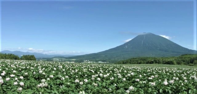 Mt Yotei