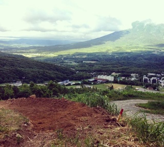 New Berm 2 crop