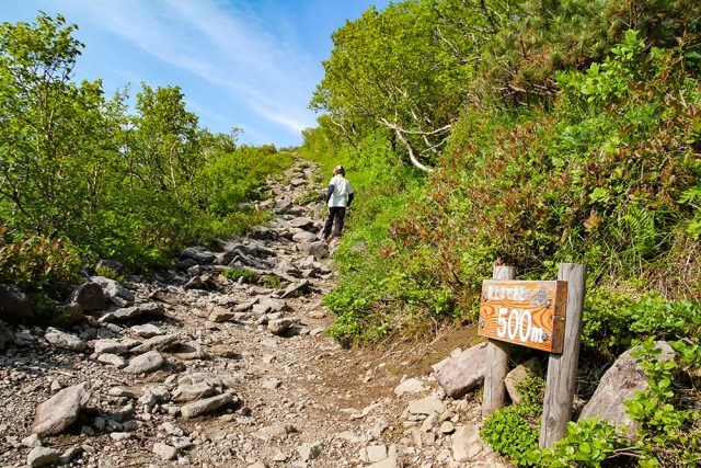 Niseko Annupuri Hike June 18 2017 10