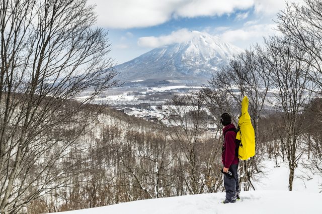 Niseko bluebird