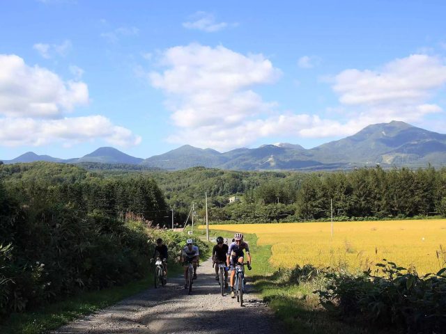 Panaracer Niseko Gravel 2023