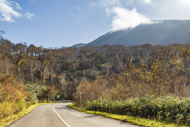 Panorama Line In Autumn On The Road 2