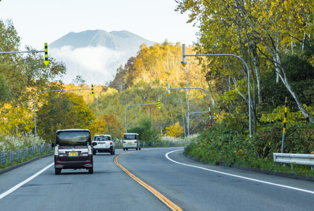 Panorama Line In Autumn On The Road 3