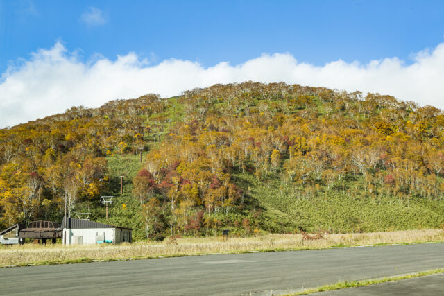 Panorama Line In Autumn
