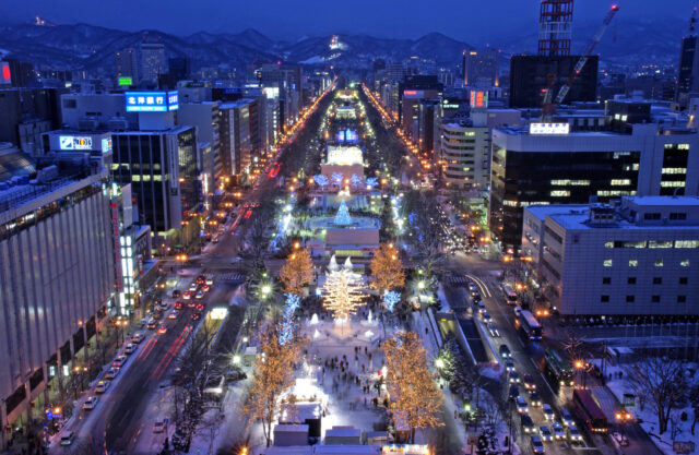 Sapporo Snow Festival Night