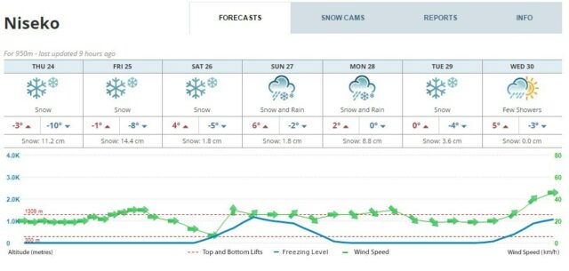 Snow 40Cm