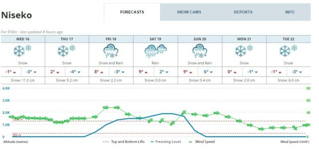 Snowfall Chart