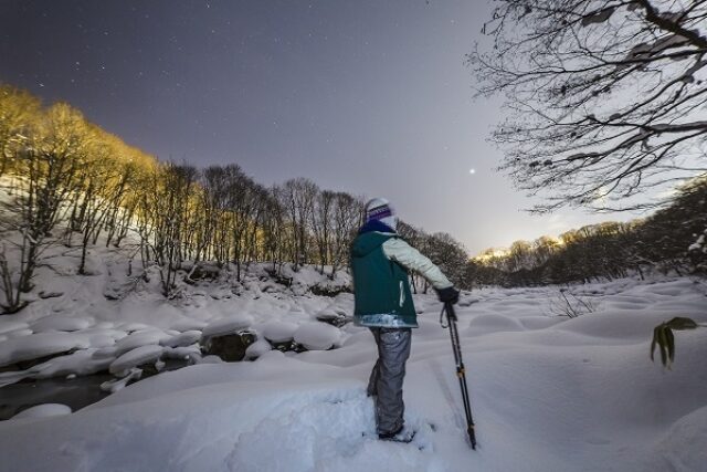 Snowshoe@