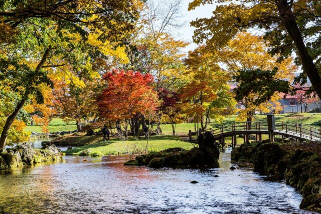 Springs And Bridge At Fukidashi Park 2