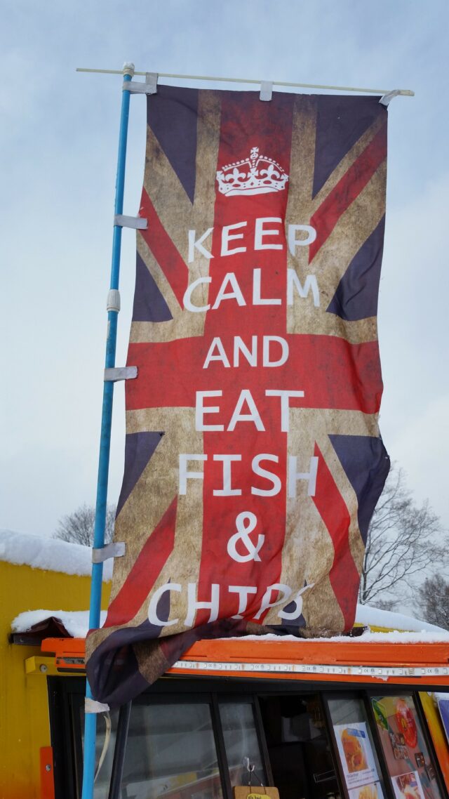 The-Flying-Fish-Flag-Banner