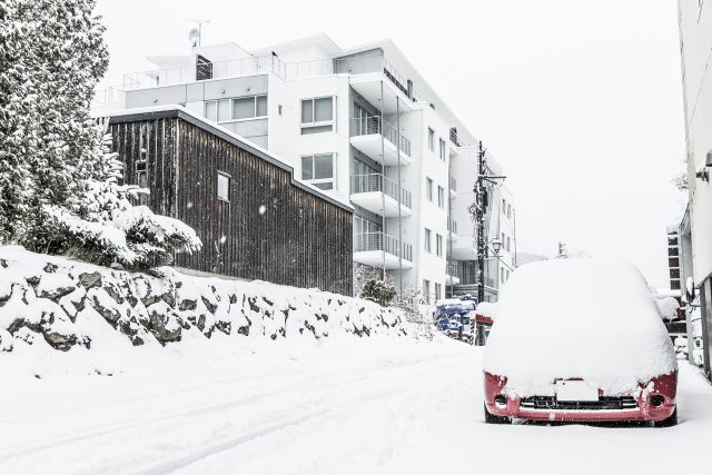 Youtei Tracks snow