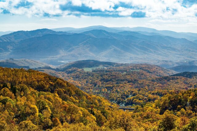 Autumn Leaves Panorama Line