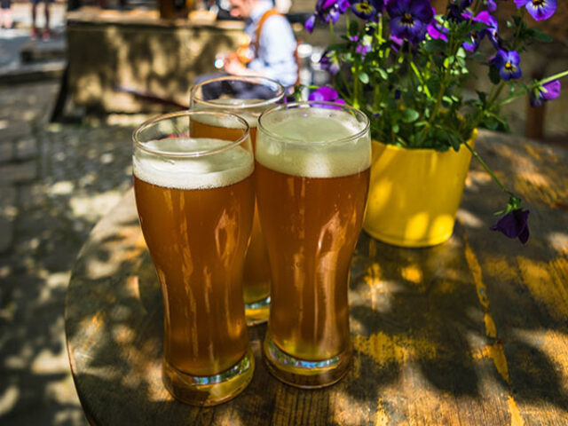 Beer 1379581 1920