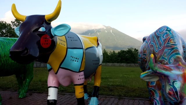 Cow Parade Niseko herd single cow