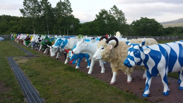 cows3