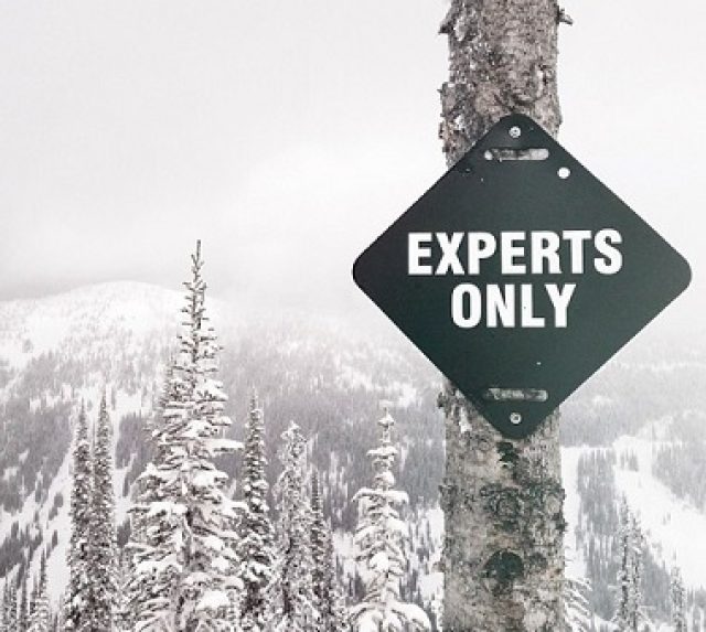 expertsonly