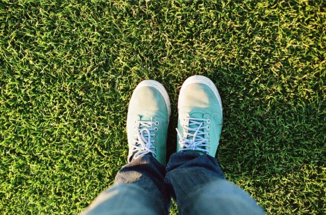 Feet Foot Grass 2592