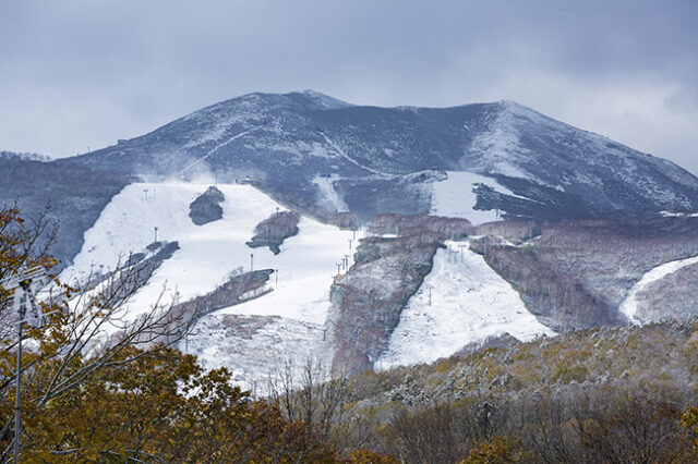 First Snow1